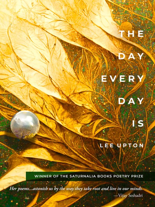Title details for The Day Every Day Is by Lee Upton - Available
